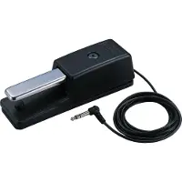 Roland DP-10 Sustainpedal