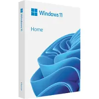 Microsoft Windows 11 Home FPP 64-bit English International
