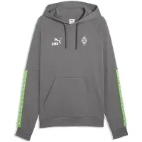 Puma Borussia Mönchengladbach FtblKING Hoodie Men, Clothing, Flat Medium Gray/Green, XS