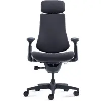 Libernovo Omni Dynamic ergonomisk stol 45 cm (svart)
