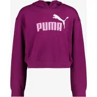 Puma Essential 2 Color Nº1 Logo Short Length Tr Hettegenser