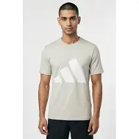 Adidas Essentials Big Logo Kortarmet T-skjorte