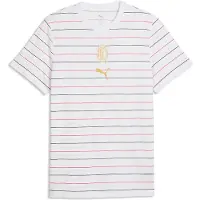Puma AC Milan ftblCulture Printed Tee Men, Sport, White, XS