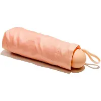 Muitomas Paraply