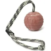 JULIUS K-9 Solid Ball Med Håndtak Assortert