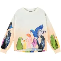 Molo Genser - Reniza - Gruppe på Parrots - - 7 år (122) - Genser
