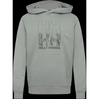 Helly Hansen Core Graphic Hettegenser