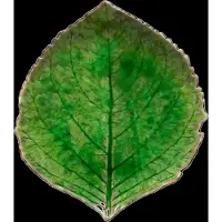 Costa Nova Asiet hydrangea leaf Riviera 17 x 15 cm Green/Black Ceramic