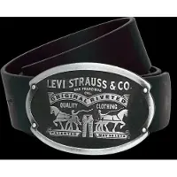 Levis Accessories Billy Plaque Belte