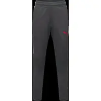 Puma IndividualLIGA Football Training Pants Youth, Clothing, Strongray/Red/Gray Echo, 13-14Y