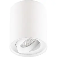 EVN Kardanus LED-taklampe Ø 9 cm, hvit