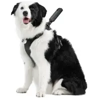 Insta360 Pet Harness Mount Size L