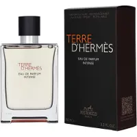 Hermès Paris Terre d'Eau de Parfum Intense 100 ml
