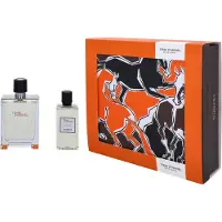 Hermès Paris Giftset Terre d'Edt 100ml + Shower Gel 80ml
