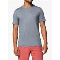 Columbia Parsons Point Back Graphic Kortarmet T-skjorte