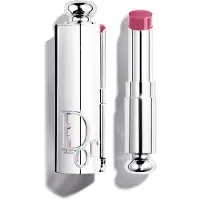 Dior Addict Glass Lipstick 842 Rose Sauvage