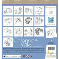 Avenue Mandarine Avenu mandarin – Emmanuelle Colin – fargeleggingsbok Wild 6 (GY124C)