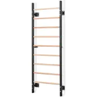 Gymstick Wood&steel Ripsvegg