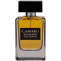 Paris Corner Pendora Scents Camaro Homme Intense Eau de Parfum-parfyme 100 ml