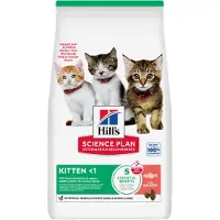 Hill's Pet Nutrition Kitten
