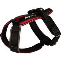Julius-K9 K9 Speed harness, Size: M, red