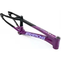 Stay Strong For Life V5 2025 Bmx-ramme