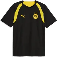 Puma Bvb Borussia Dortmund 26/27 Trening Kortarmet T-skjorte