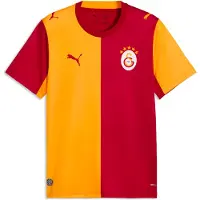 Puma Galatasaray S.K. 26/27 Home Jersey Men, Sport, Dark Cherry/Summer Sunset, XXL