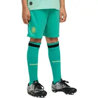 Puma Girona Fc 26/27 Replica Tredje Junior-shorts