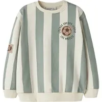 Name It Mini Normal Passform Sweatshirt