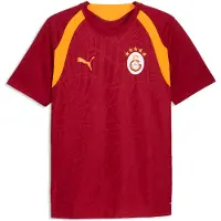 Puma Galatasaray S.K. Slim Training Jersey Men, Sport, Dark Cherry/Summer Sunset, 3XL