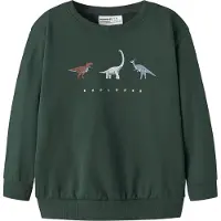 Name it Collegegenser - NmmNilius - Sycamore - - 4 år (104) - Collegegenser