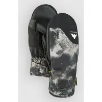 Burton Access Votter