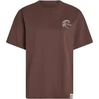O'Neill O'Riginals Back Print T-skjorte