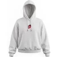 Volcom Eyeson Hettegenser grå
