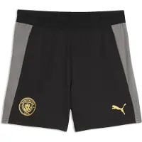 Puma Manchester City Training Shorts Youth, Clothing, Black/Cast Iron, 15-16Y
