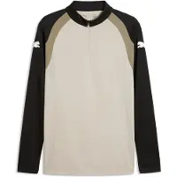 Puma individualFINAL Slim Long Sleeve Quarter-Zip Top Men, Sports, Desert Dust/White, XS