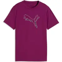 Puma Train All Day Essentials Logo Graphic Tee Youth, Kids, Fuchsia Glow, 15-16Y