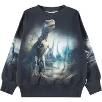 Molo Collegegenser - Mattis - Twilight Dinos - - 4 år (104) - Collegegenser