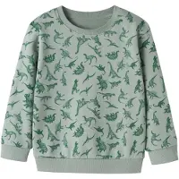 Name it Collegegenser - NmmVifelix - Green Millieu/Dino - - 2 år (92) - Collegegenser