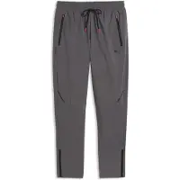 Puma PUMATECH 4-Way Stretch Track Pants Men, Men, Moody Gray, L