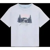 Roxy Evo Oversize Was Kortarmet T-skjorte