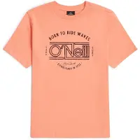 O'Neill Muir Kortarmet T-skjorte