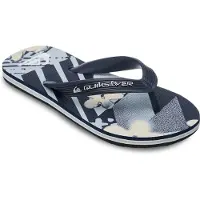 Quiksilver Molokai Art 26 Flip-flops