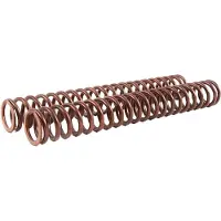 Öhlins 25.5/300/15.0 08423-15 Gaffelfjærsett