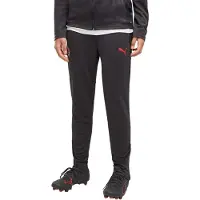Puma AC Milan Training Pants Youth, Kids, Flat Dark Gray, 9-10Y