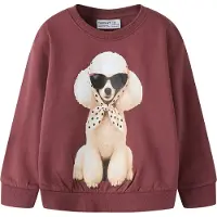 Name it Collegegenser - NmfVotea - Wild Ginger/Puddel - - 4 år (104) - Collegegenser
