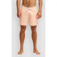 Quiksilver Stretch Printed Volley 16 Boardshorts blå