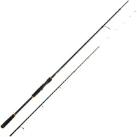 Cinnetic Rextail Tenya 240 Jigging Stang