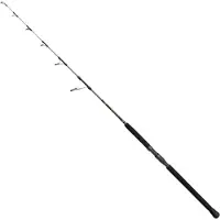 Penn Regiment Iv Pro Jigging Stang